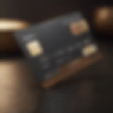 Design of the Sable Unsecured Credit Card Detailed view of the Sable unsecured credit card showcasing its design