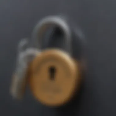 A close-up of a credit report with a padlock symbol, representing security measures.